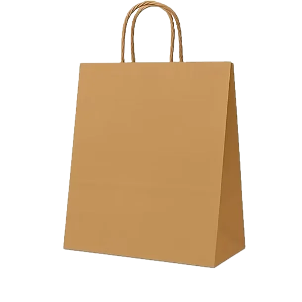 שקית נייר ידית מסולסלת